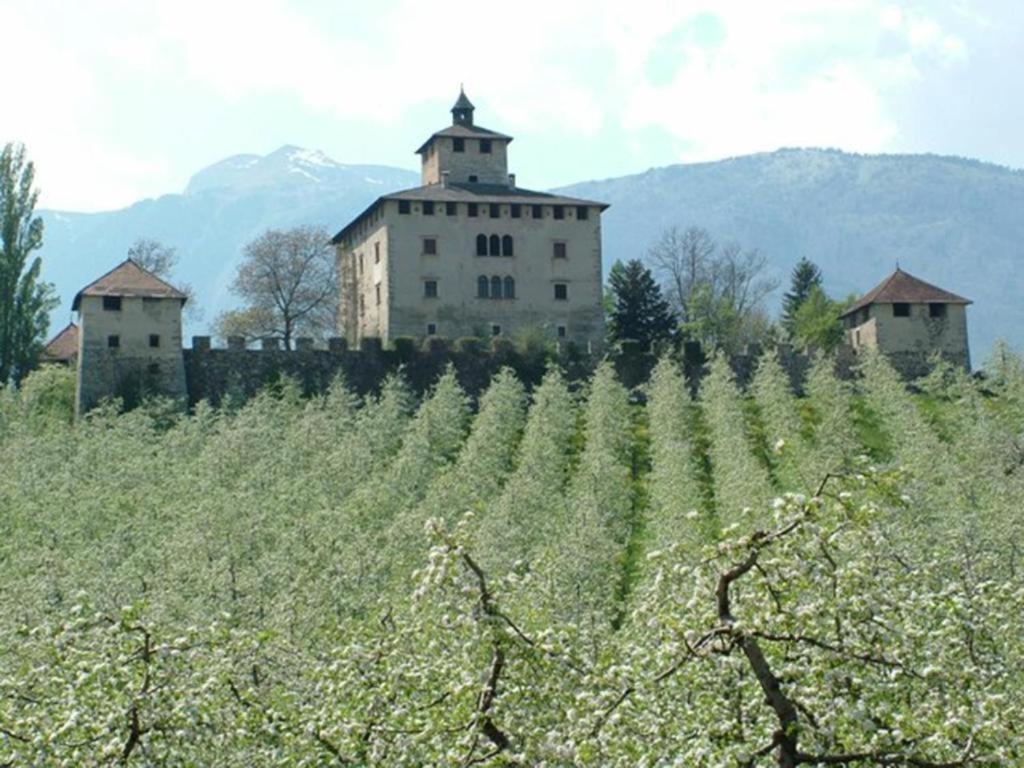 Appartamento A Spinazzeda Cuore Di Cles Exterior foto